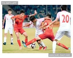 马术人收藏｜Cavalor的4个黄金建议，助你和爱马清凉迎赛季